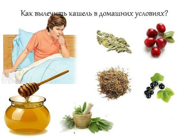 Корисні поради, як швидко позбутися від кашлю в домашніх умовах