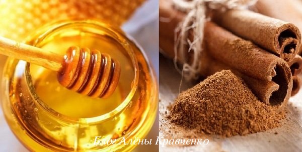 Корисні властивості кориці і меду