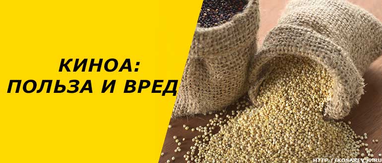 Корисні властивості крупи кіноа і спосіб приготування