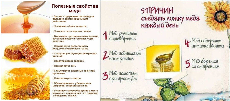 Корисні властивості меду користь і шкода меду при лікуванні протипоказання