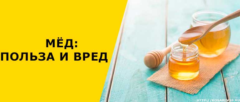 Корисні властивості меду мед для краси і здоров’я