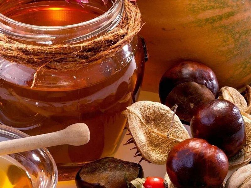 Корисні властивості і протипоказання каштанового меду, користь і шкода натурального продукту