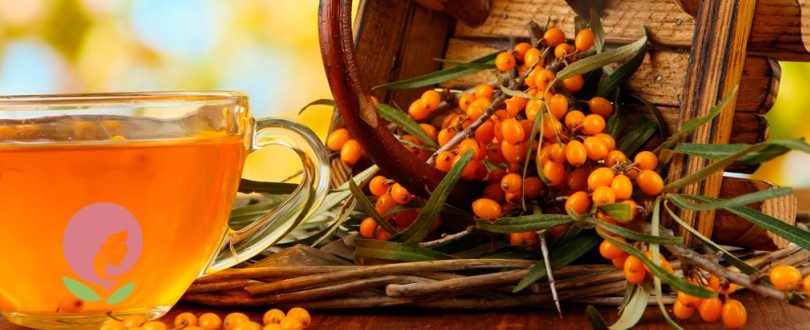 Користь обліпихи при лікуванні застуди