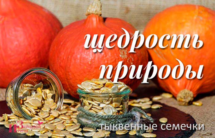 Користь і шкода гарбузового насіння для жінок і чоловіків. Як сушити