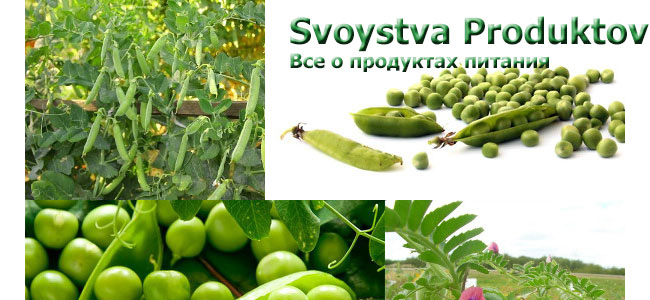 Користь і шкода гороху замінника м’яса і очисника організму