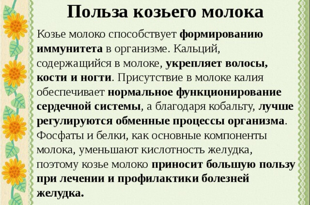 Користь і шкода козячого молока показання для вживання молока кіз