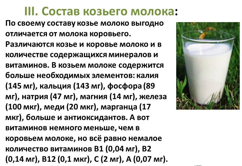 Користь і шкода козячого молока показання для вживання молока кіз