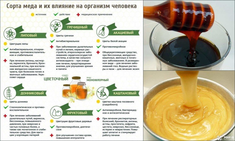 Користь і шкода меду для організму людини чоловіків, жінок і дітей