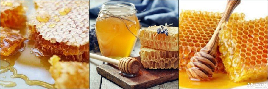 Користь і шкода меду для організму людини чоловіків, жінок і дітей