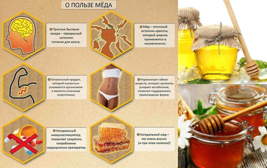 Користь і шкода меду для організму людини чоловіків, жінок і дітей