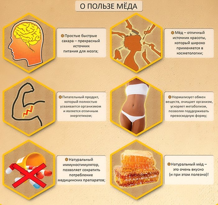 Користь і шкода меду при подагрі