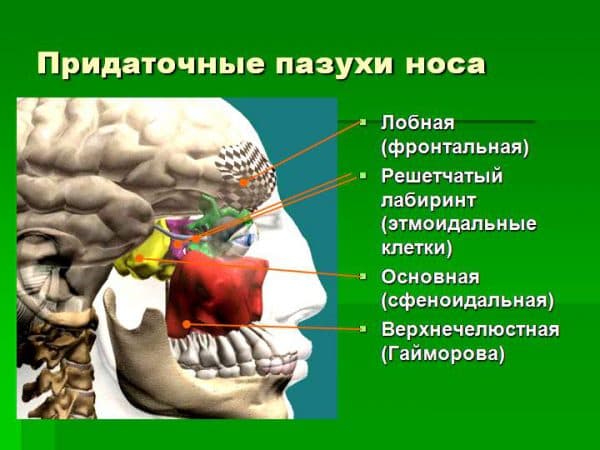 Краплі при зелених соплях у дитини: 26 ліків для дітей і дорослих