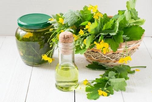 Кращі народні засоби для лікування геморою в домашніх умовах