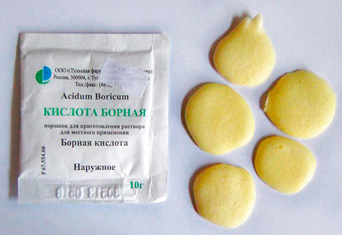 Кращі народні засоби від тарганів parazitguru