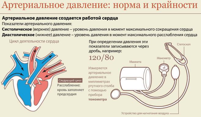 Кращі народні засоби від високого тиску швидкого дії