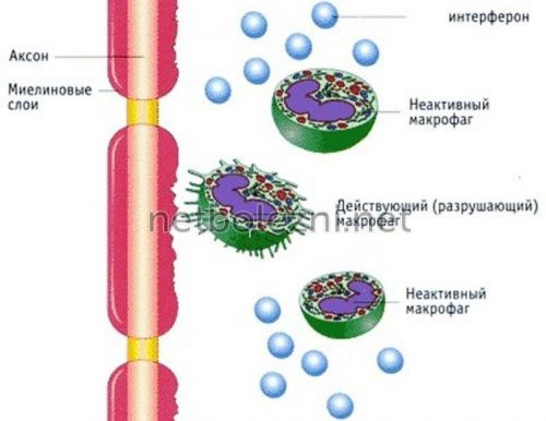 Кращі противірусні засоби з доведеною ефективністю від грипу та застуди