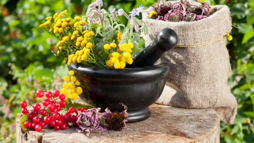 Лікарський збір при пієлонефриті — Нирки і МКБ Лікарський збір при пієлонефриті — Нирки і МКБ