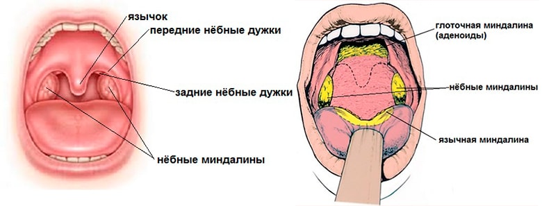Ліки для лікування тонзиліту