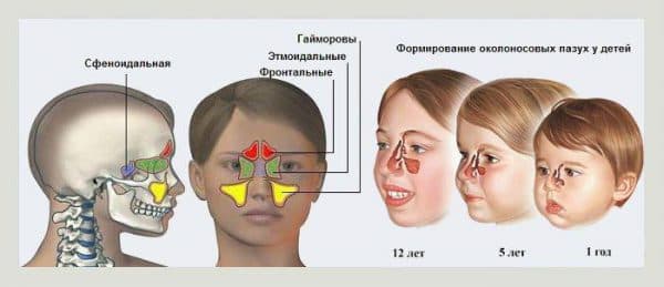 Лікуємо нежить у дитини до року найефективніші засоби