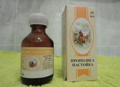 Лікувальні і корисні властивості прополісу