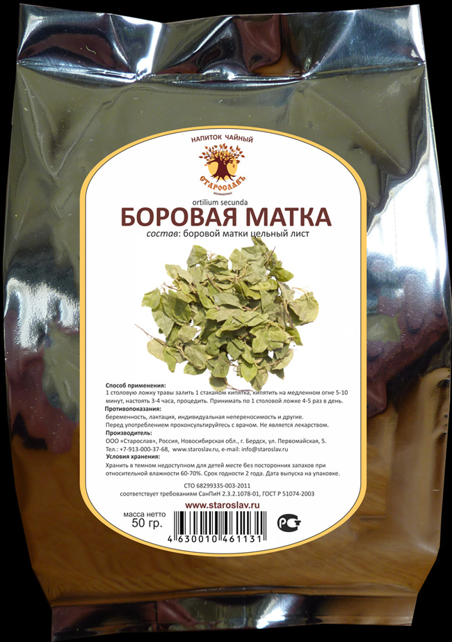 Лікувальні властивості борової матки та протипоказання застосування