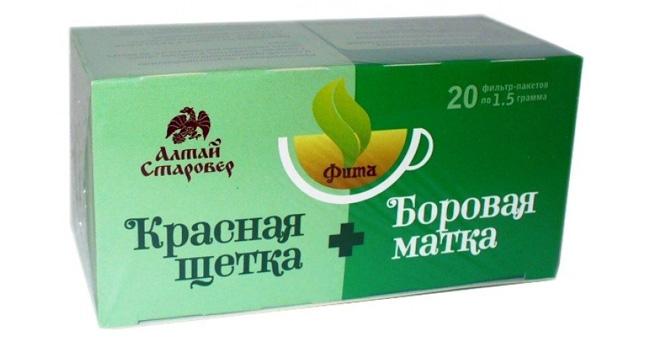 Лікувальні властивості борової матки та протипоказання застосування Лікувальні властивості борової матки та протипоказання застосування