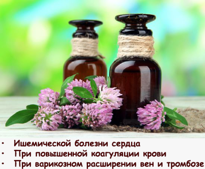 Лікувальні властивості червоного конюшини при клімаксі