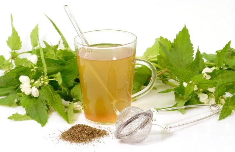 Лікувальні властивості меду з борової маткою і протипоказання до прийому Лікувальні властивості меду з борової маткою і протипоказання до прийому