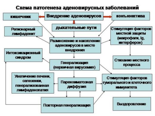 Лікування аденовірусної інфекції у дорослих