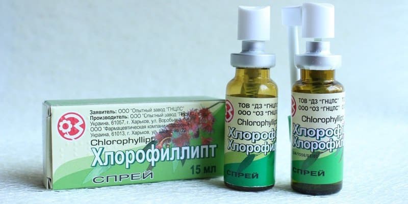Лікування ангіни натуральним препаратом Хлорофіліпт