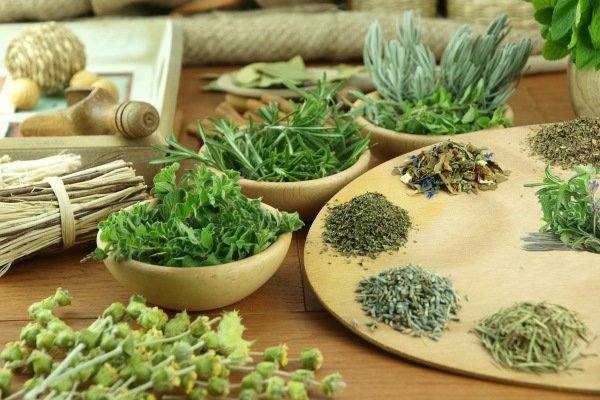 Лікування аритмії народними засобами – це можливо! Як вилікувати аритмію народними засобами просто і доступно? – Автор Катерина Данилова
