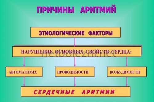 Лікування аритмії серця народними засобами і методами