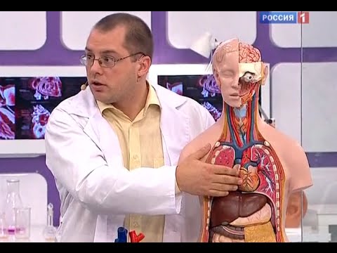 Лікування аритмії в домашніх умовах народними засобами