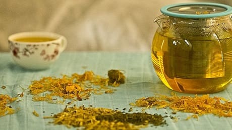 Лікування чистотілом рецепти та застосування
