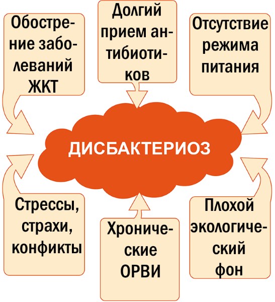 Лікування дисбактеріозу кишечника у дорослих народними засобами Лікування дисбактеріозу кишечника у дорослих народними засобами