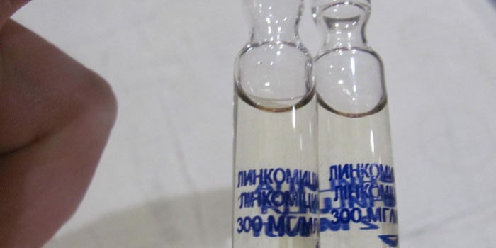 Лікування гаймориту Лінкоміцином