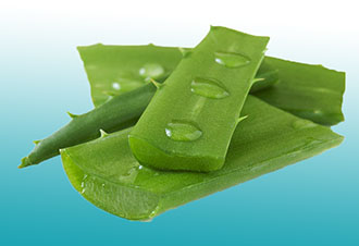 Лікування гаймориту за допомогою алое