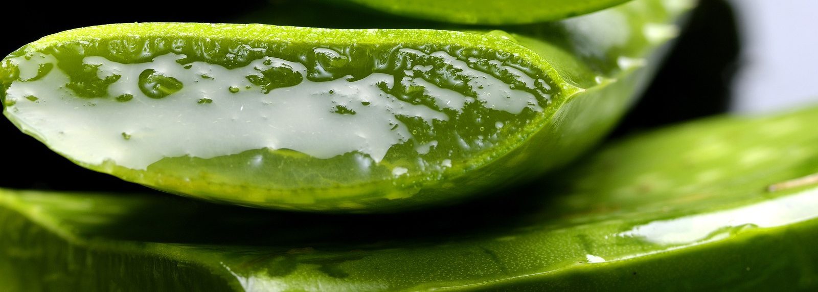 Лікування гаймориту за допомогою алое