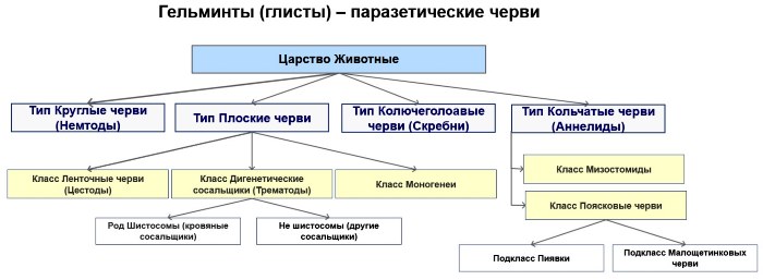 Лікування гельмінтозу народними засобами