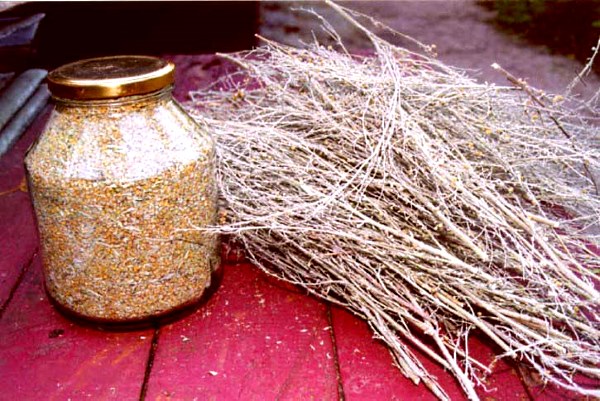 Лікування гельмінтозу народними засобами