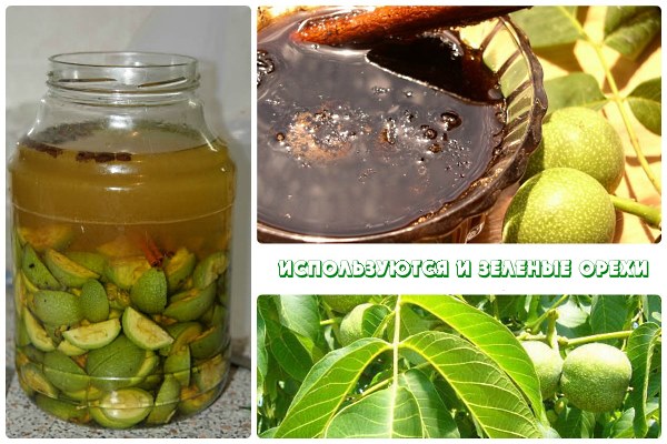 Лікування гельмінтозу народними засобами