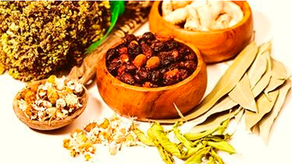 Лікування гельмінтозу народними засобами