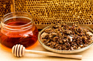 Лікування горла прополісом — рецепти настоянок та правила застосування