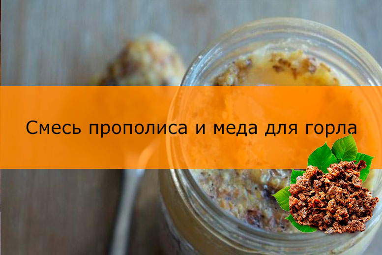Лікування горла прополісом — рецепти настоянок та правила застосування