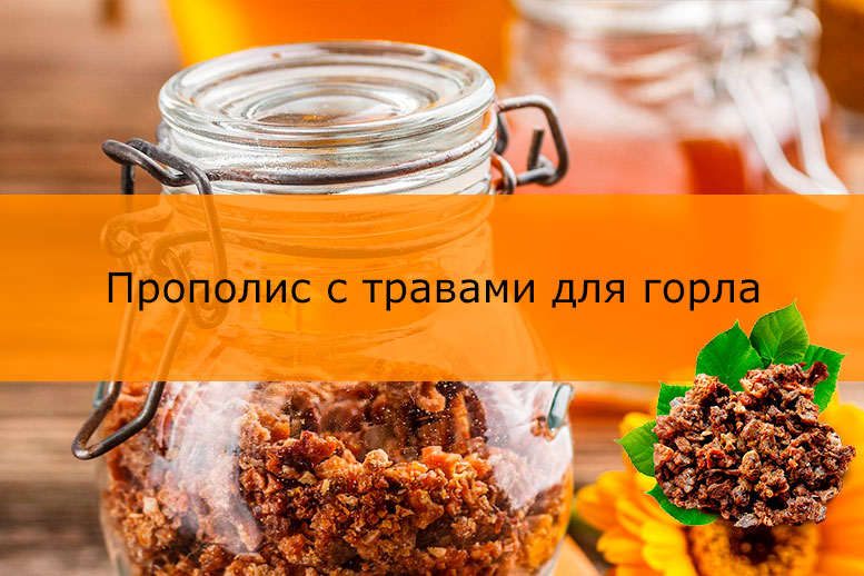 Лікування горла прополісом — рецепти настоянок та правила застосування