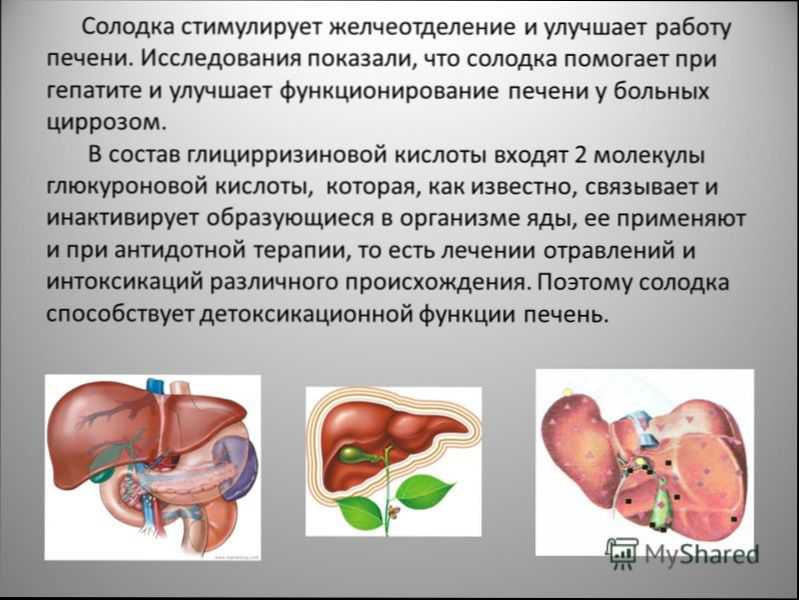Лікування кісти печінки народними засобами в домашніх умовах