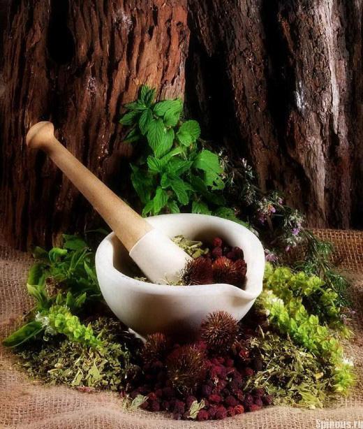 Лікування міжхребцевої грижі поперекового відділу народними засобами