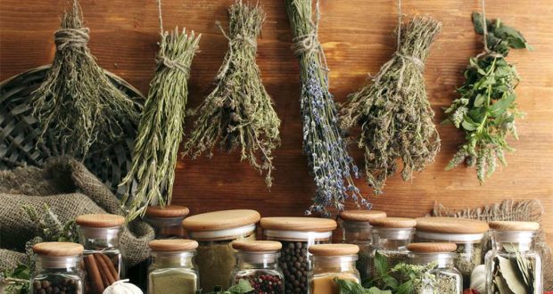 Лікування мастопатії народними засобами в домашніх умовах: рецепти, які допомогли позбутися патології молочної залози