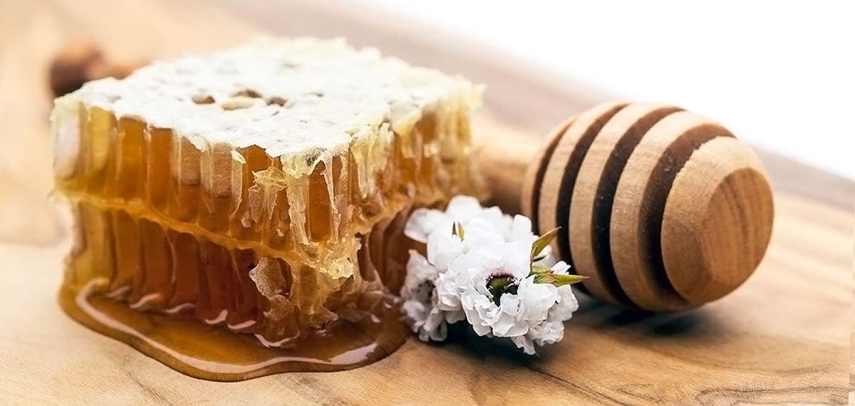 Лікування медом і народна медицина