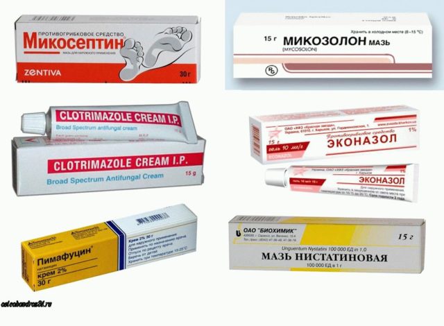 Лікування молочниці народними засобами швидко в домашніх умовах